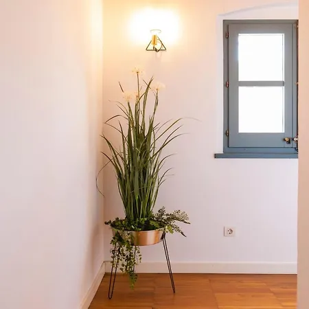 Appartement Bravissimo Raims Penthouse à Gérone Extérieur photo